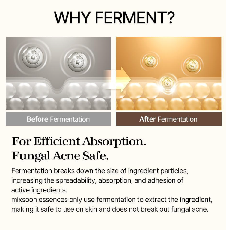 [mixsoon] Bean Essence - Fermented Soybean Extract for Gentle Exfoliation, Sebum Control & Hydration (50ml / 1.69 fl. oz.)